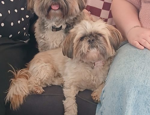 Ted & Poppy