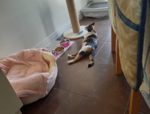 Fiona